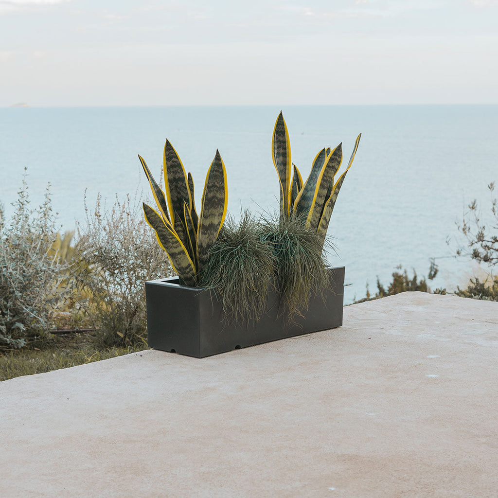 Chic Planter to Brighten Up Your Interior