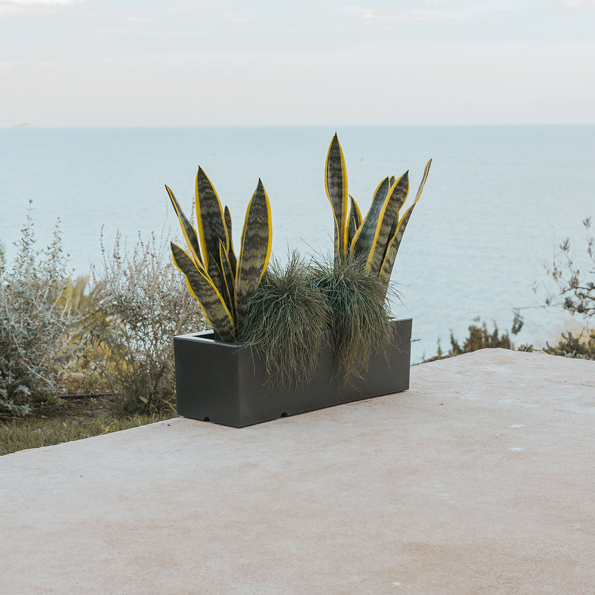 Chic Planter to Brighten Up Your Interior