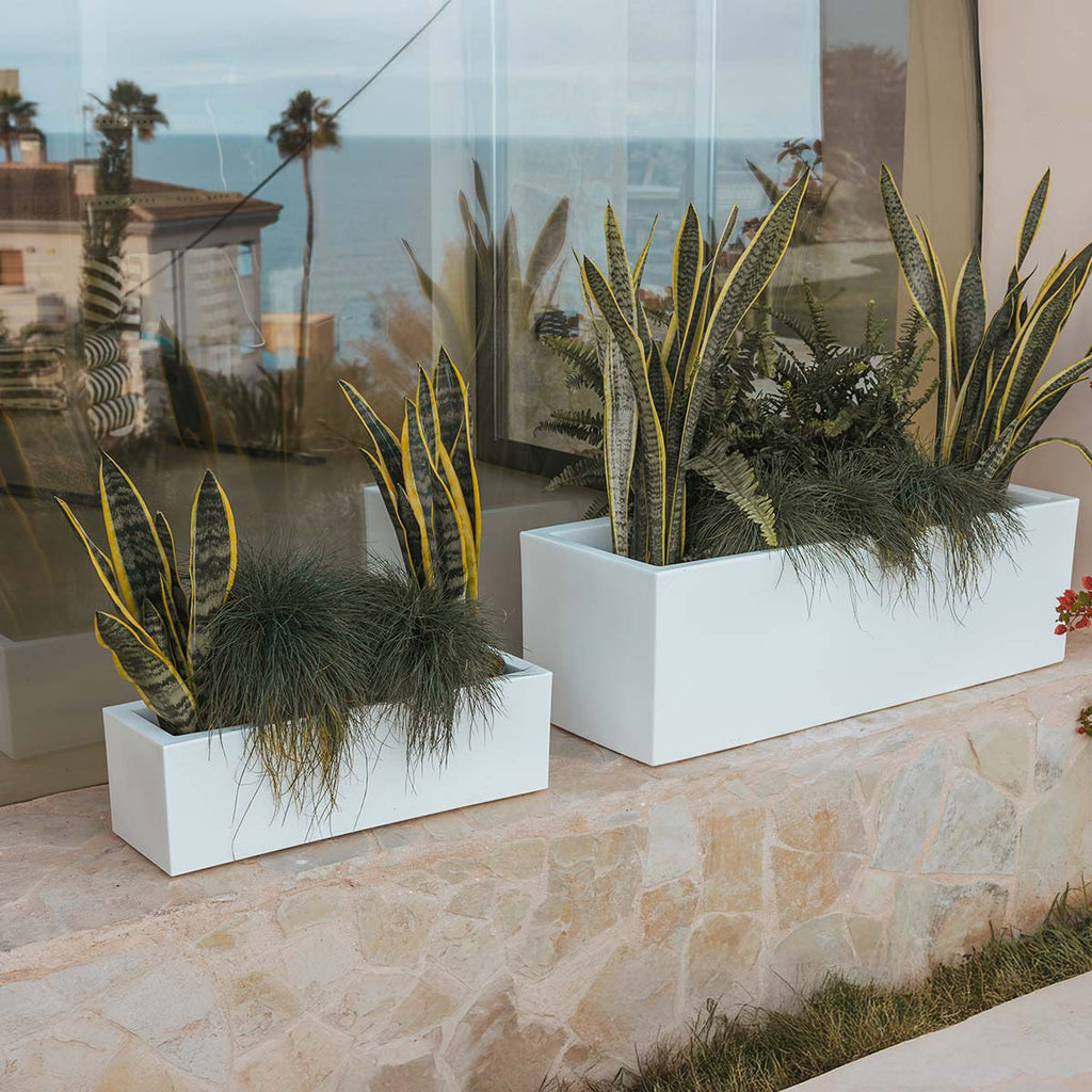 Chic Planter to Brighten Up Your Interior