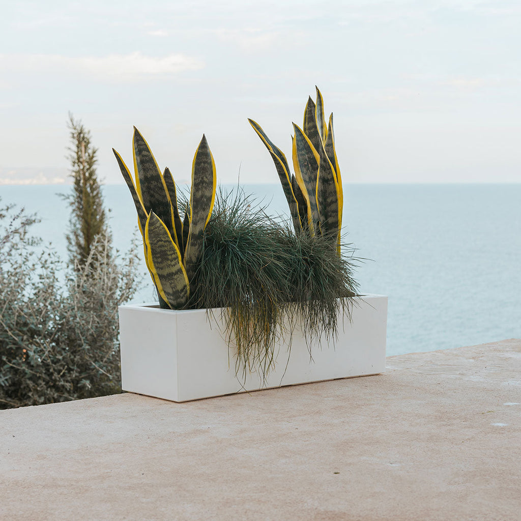 Chic Planter to Brighten Up Your Interior