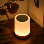Contemporary LuxeTouch Night Light with Dynamic Lighting Effects