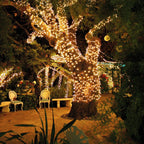 SoliGlow Solar Mood Lighting Collection