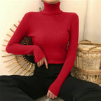 Lotte | Stylish Knit Sweater