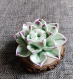 Chic Lotus Blossom Incense Stand