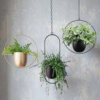 Chic Minimalist Plant Hanger