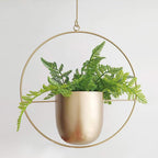 Chic Minimalist Plant Hanger