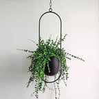 Chic Minimalist Plant Hanger